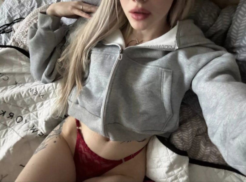 thumb_1695351_1920_1920_0_0_fit (1).jpg